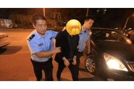 齐齐哈尔融资清欠服务